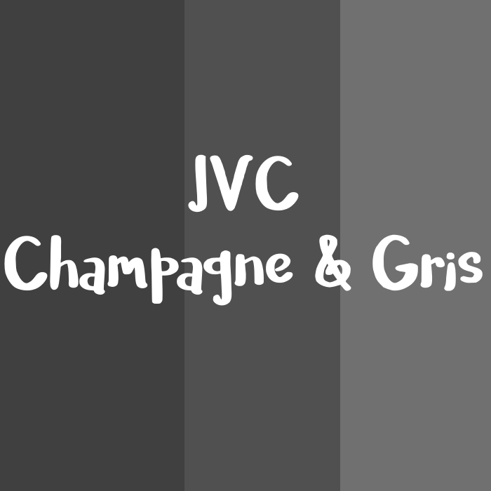 JVC Champagne & Gris logo