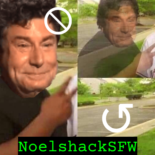 NoelshackSFW_v1 logo