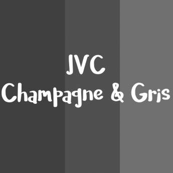 JVC Champagne & Gris logo